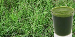 10366031_298017163708635_7152085133724660656_n