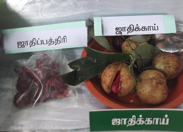 ஜாதிக்காய் பயன்கள்