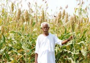 Tamil_News_large_110175720141028200535