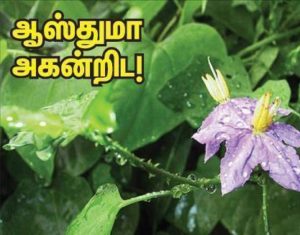 10438321_403551126497561_1066608394644448546_n