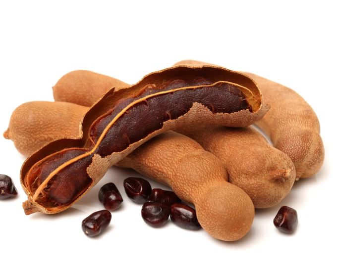 புளியமரம் அதன் பயன்களும் - tamarind tree